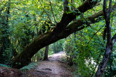 Parc de Mussonville de Begles - Ali Koç Photographe.